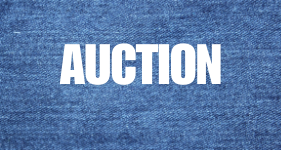 Online Auction